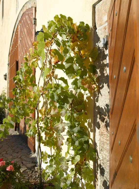 ホテルGastehaus Im Weingut Schloss Proschwitz マイセン エクステリア 写真